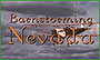 BarnstormingNV