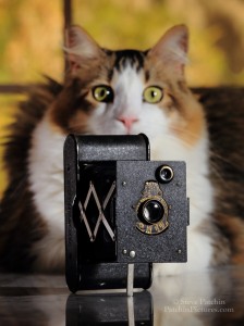 1913 camera and 2013 cat.