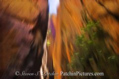 Zion Impressions I by Steve Patchin